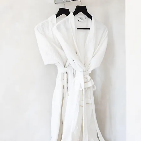 Danae Santorini فندق 4*